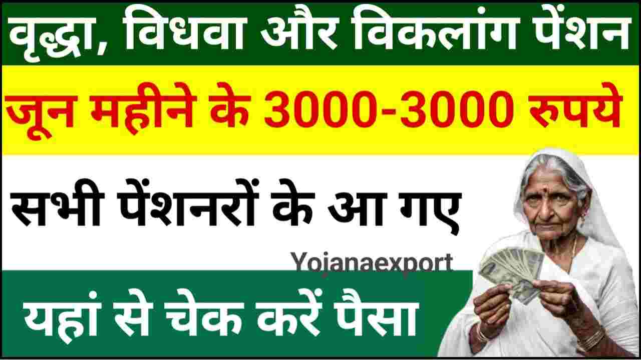 Pension Ka Paisa Kaise Check Kare Online 2024